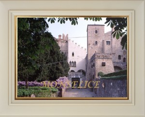 MONSELICE
